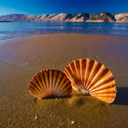 In With Sea View, Terrace, Air Conditioning, W-lan 4229-4 Apartament *